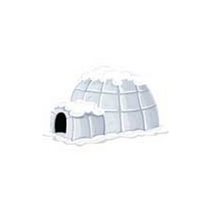 Igloo